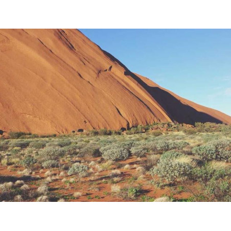 Durable Marble Bottle fr-FR